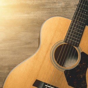 Quiet Guitar for Cats