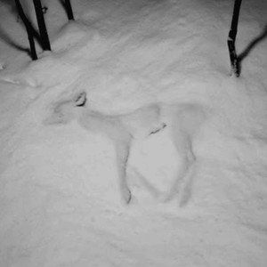 u crossed the line (Explicit)