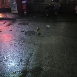 下雨的时候我总会想起你