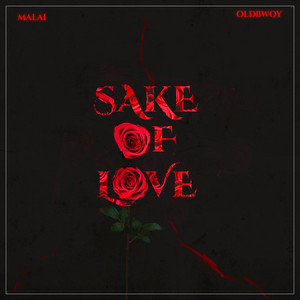 Sake of Love (Explicit)