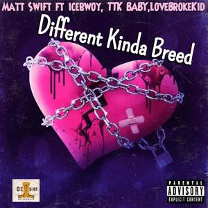 Different Kinda Breed (feat. Matt Swift, IceBwoy & LoveBrokeKid) [Explicit]