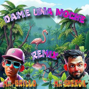 Dame Una Noche (feat. Mr Sherok)