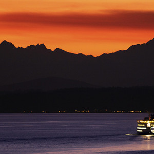 我怕来者不是你