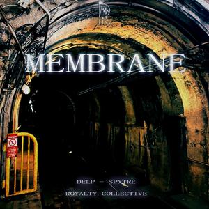 Membrane (Explicit)