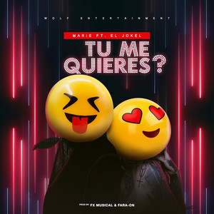 Tu Me Quieres ?