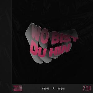 Wo bist du hin (feat. roshi) [Explicit]