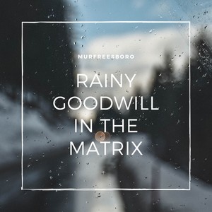 Rainy Goodwill in the Matrix