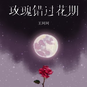 玫瑰错过花期