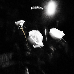 Scars (Super Slowed)