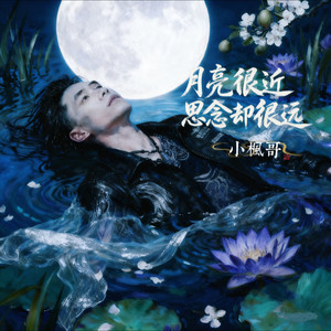 月亮很近思念却很远