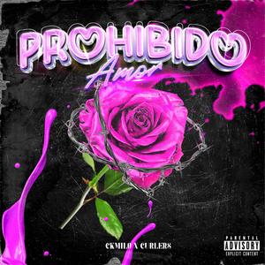 Amor Prohibido