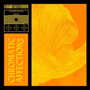 Chromatic Affection 3