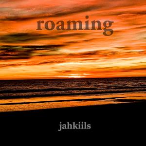 Roaming (Explicit)