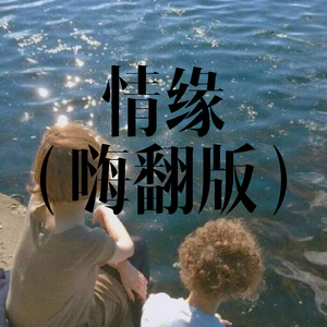 情缘（嗨翻版）