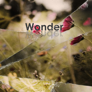 Wonder