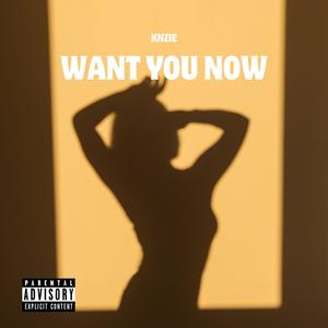 Want You Now (feat. Knzie) (Explicit)