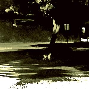 don't forget the cat (feat. 000 & The White House Oval Office)