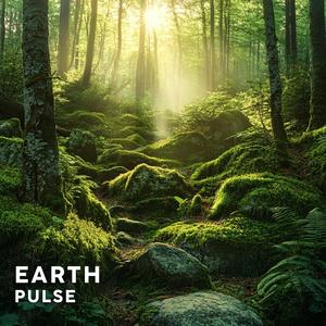 In the Vein of the Earth’s Pulse