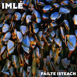 Fáilte Isteach