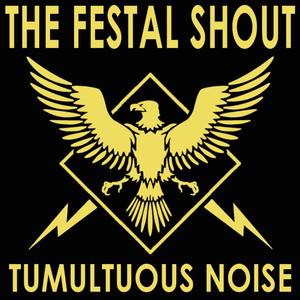 Tumultuous Noise