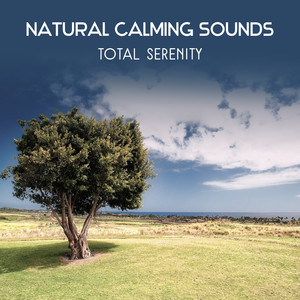 Natural Calming Sounds – Total Serenity, Blissful Music for Relaxation with Ocean Waves, Birds, River, Wolves, Crickets, Wind, Rain, Dolphins