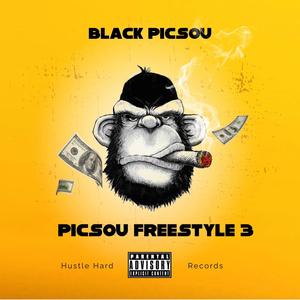 Picsou freestyle 3