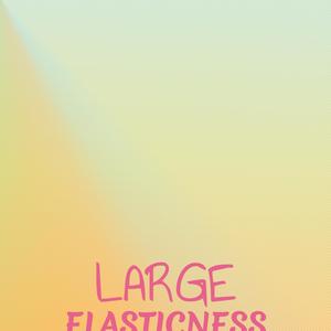 Large Elasticness