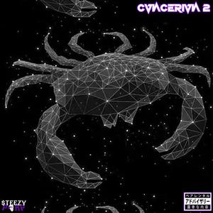 CVNCERIVN 2 (Explicit)