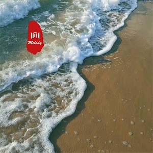 对不起我又想你了 (DJ版)