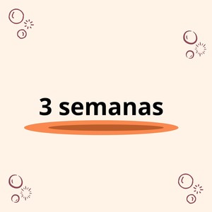 3 semanas