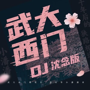 武大西门（DJ沈念版）