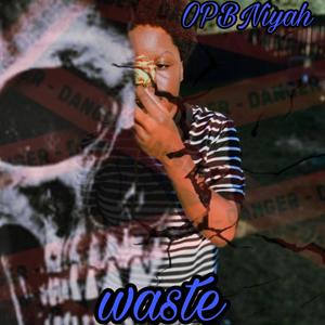 Waste (Explicit)