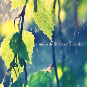 Sonido de Lluvia en el Jardín