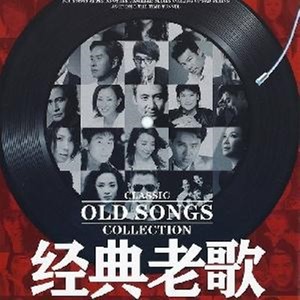 痴心的废墟封面