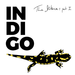 Indigo Dreams (Acoustic Bonus Track)