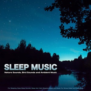 Sleeping Music with Forest Sounds