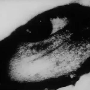 Kalt (feat. Regenwald & qrixtol) (Explicit)