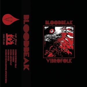 Instructions For Vibrofolk