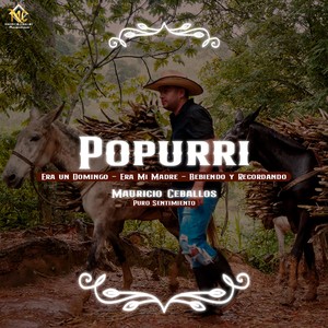 Popurri