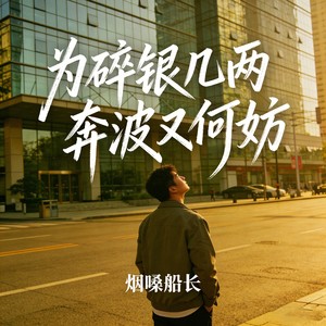为碎银几两奔波又何妨封面