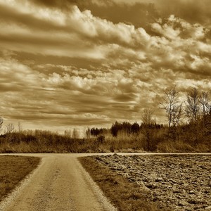 Preachin' Blues(Up Jumped the Devil) (Explicit)