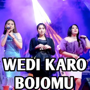 WEDI KARO BOJOMU (Dangdut koplo Om Pallapa)