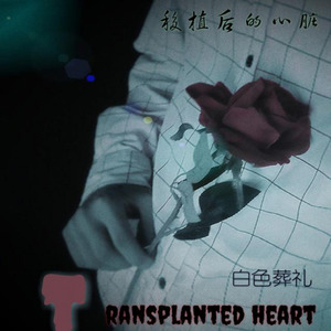 青舟 - 停止心跳