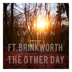 The Other Day(feat. Brinkworth) (Explicit)