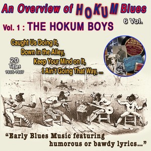 An Overview of Hokum Blues 6 Vol. Vol. 1 : The Hokum Boys - Early blues music (20 Titles - 1935-1937) [Explicit]