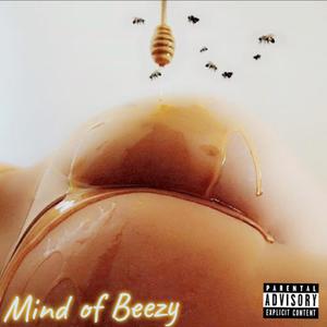 MindOfBeezy (Explicit)