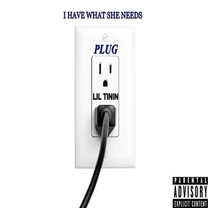 Plug