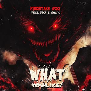 What You Like (feat. Richie Guapo & Dinero Tarantino) [Explicit]