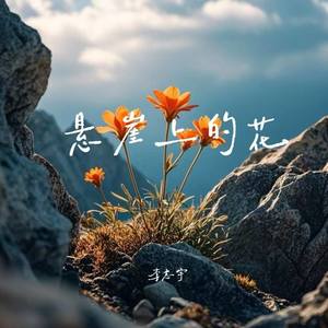 悬崖上的花