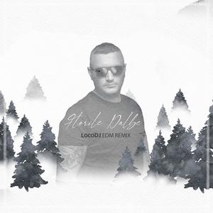 Florile Dalbe (EDM Original) (Extended Version)